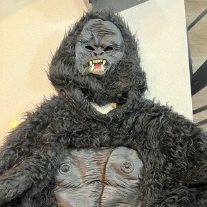 Kids Target Brand Hyde and Eek Gorilla Costume - Size Large